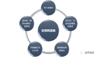 2021-2027年生物刺激素行业细分市场分析及投资前景专项报告 市场信息咨询的深度解析